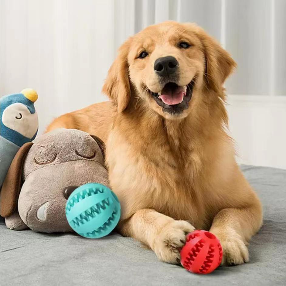 Dog Rope & Chew Ball Toy – Interactive Tug, Fetch & Dental Toy