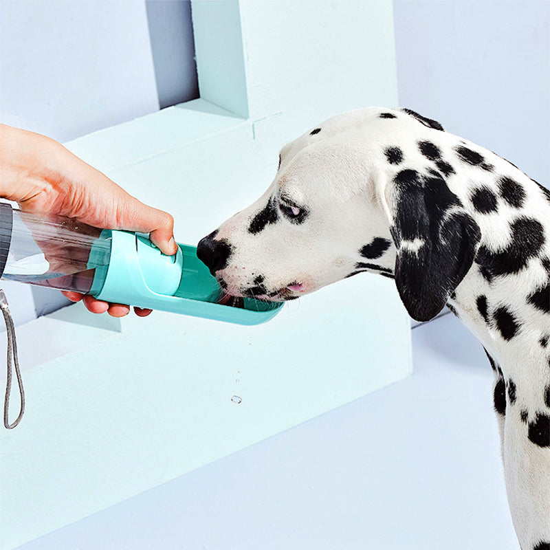Portable Dog Water Bottle with Drinking Bowl – 300ml